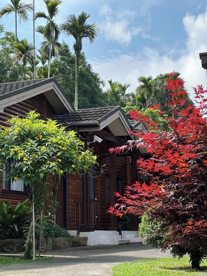 Exterior - Xitou Yunxiao Chalet (Lugu)