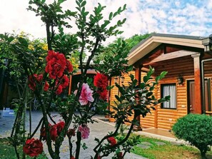 Family Room for 5 People - Xitou Yunxiao Chalet (Lugu)