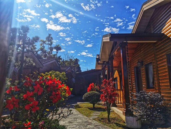 Family Room for 6 Adults | Living area - Xitou Yunxiao Chalet (Lugu)