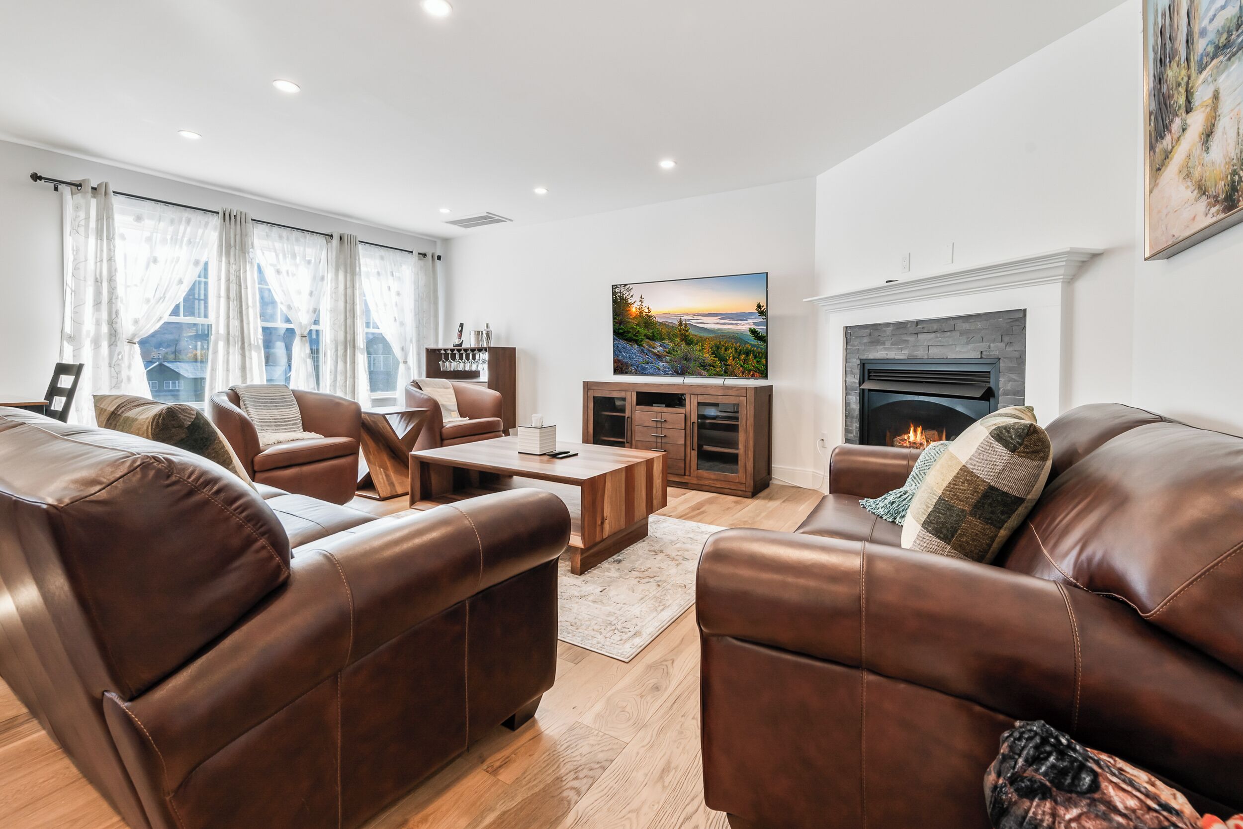 Smart TV, fireplace, video games, books