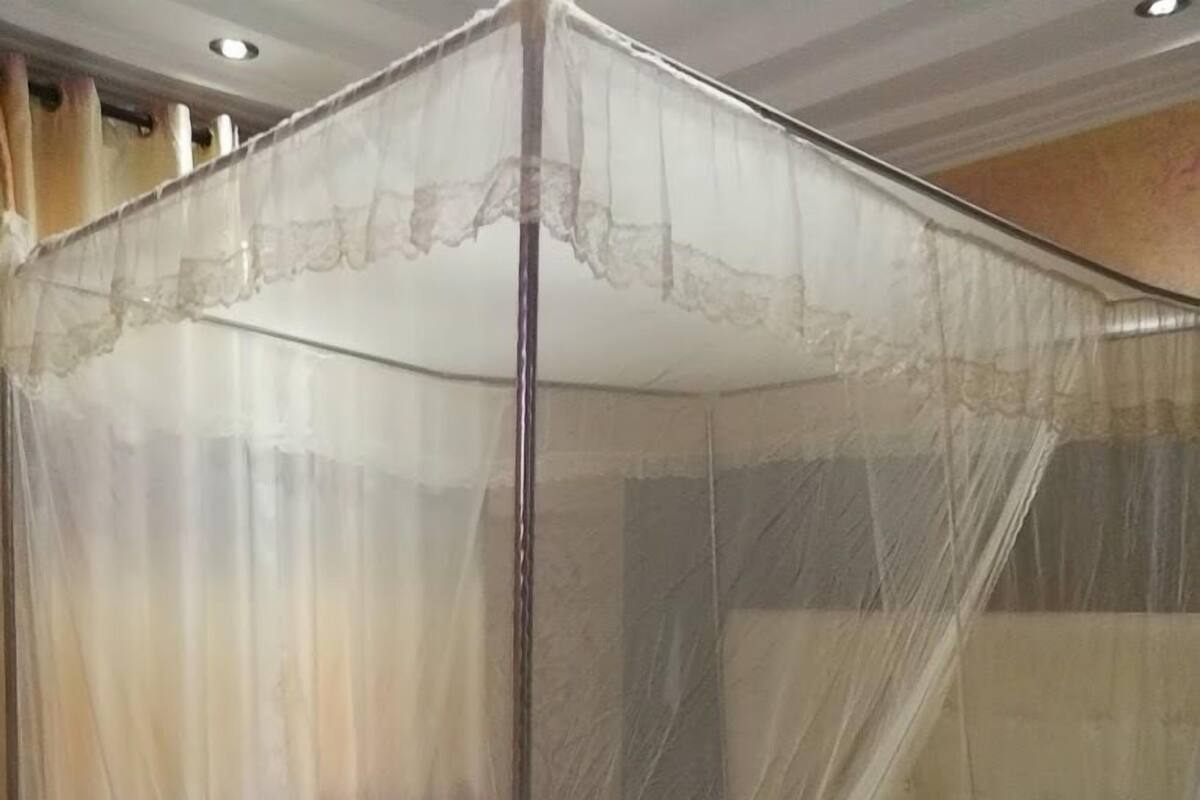 A bed with a canopy and a pillow.