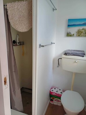 Shower, hair dryer, soap, shampoo