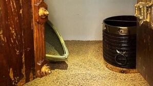 A narrow hallway with a wooden door on the left, a metal grate on the floor, and a black barrel on the right. - Tranquil bed & breakfast with AC in Aluva (Aluva)