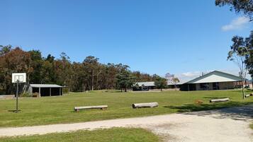 A grassy outdoor area with a basketball hoop, benches, and a building with a green roof.