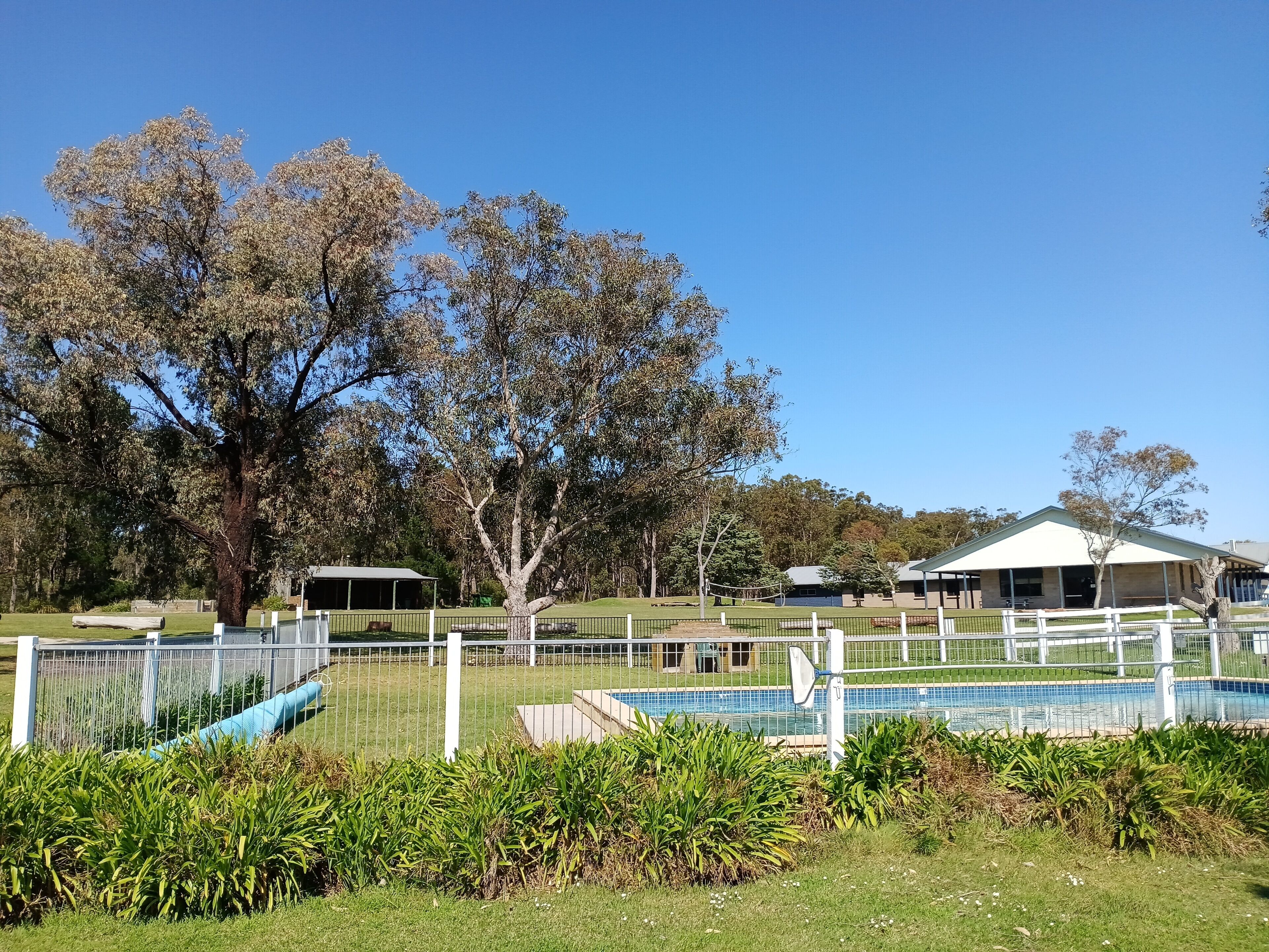 A pool area with a fence, a covered seating area, and a large tree in the background.