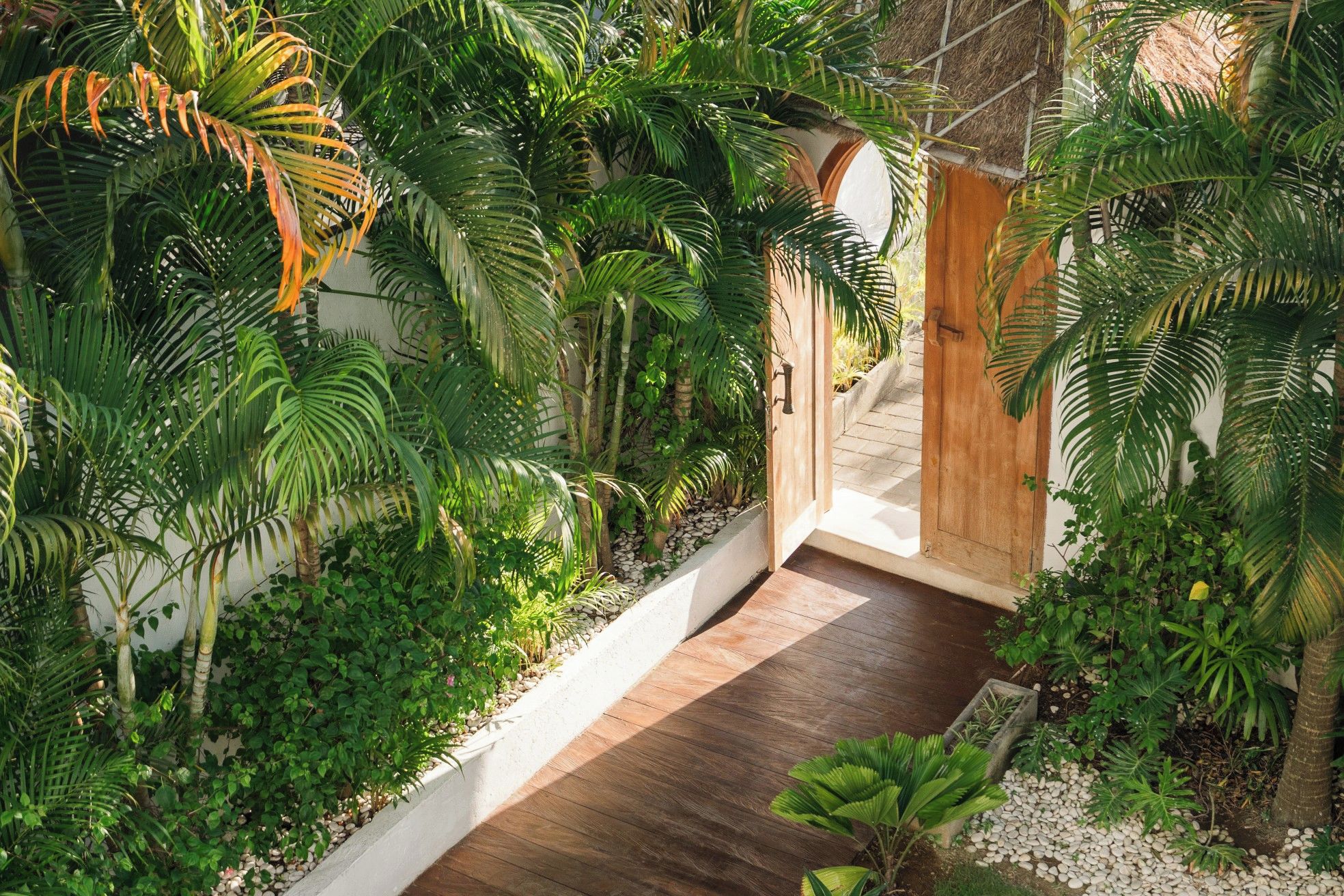 Un sendero de madera serpentea a través de un exuberante jardín con diversas plantas tropicales y un arco de madera rústico.