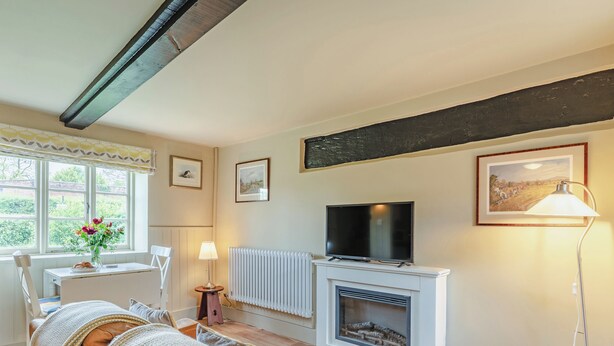 A living room with a fireplace, a television, and a window with flowers. - 1 bedroom accommodation in Sturminster Newton (Sturminster Newton)