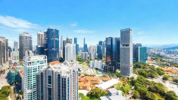 Deluxe Apartment, 2 Bedrooms, Kitchen, City View | View from room