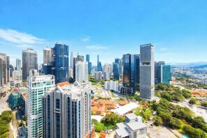 Deluxe Apartment, 2 Bedrooms, Kitchen, City View | Pemandangan dari bilik