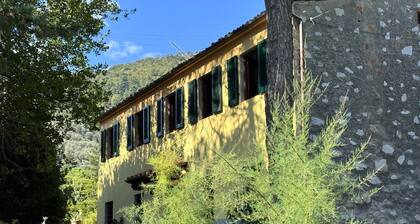 Country House / Farm House in Lucca with 2 bedrooms sleeps 7