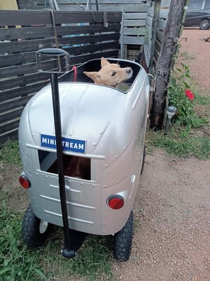 Área da propriedade