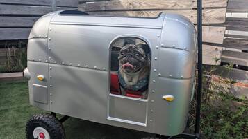 Aceita animais de estimação