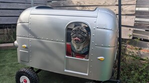 Aceita animais de estimação