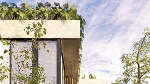 A modern building with large windows, a rooftop garden, and a well-maintained outdoor area with various plants. - Kachava Lux (Tulum)