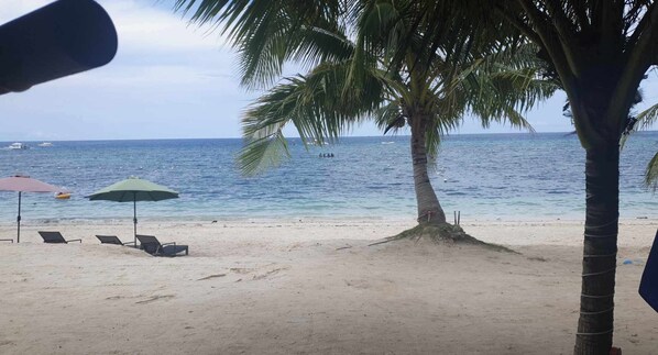 On the beach, white sand, beach bar - Birdwatchers Poolside Hotel Panglao (Panglao)