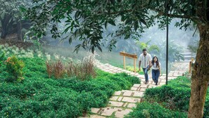 A stone pathway leading to a natural pond, surrounded by lush greenery and trees. - Vanani Resort and Caravan Park Munnar (Udumbanchola)