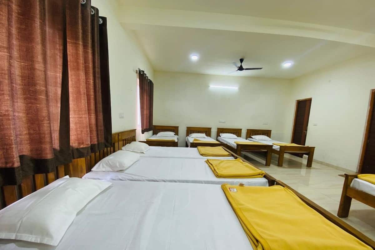 Dortoir Partagé Familial, vue jardin