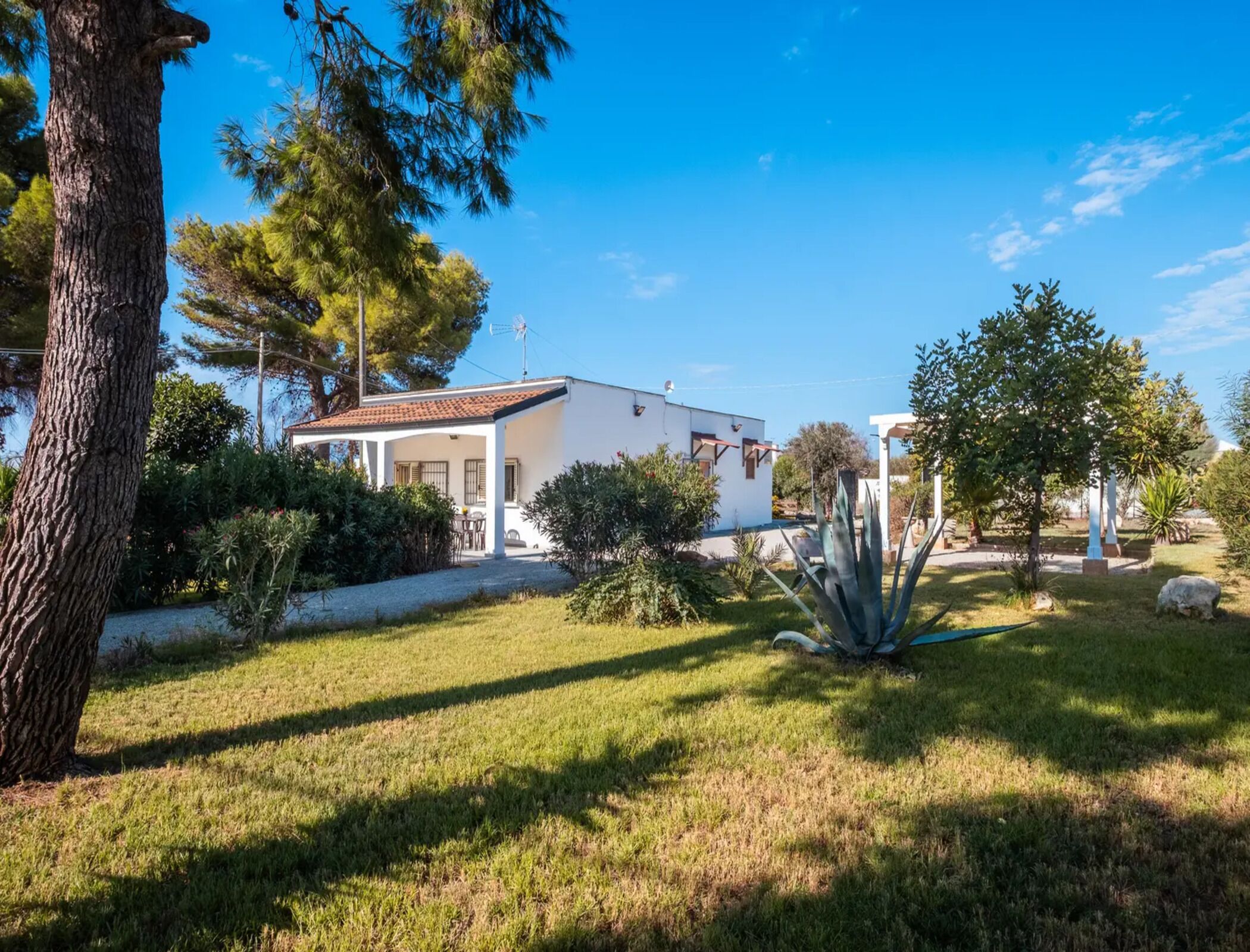 Overnattingsstedets uteområder