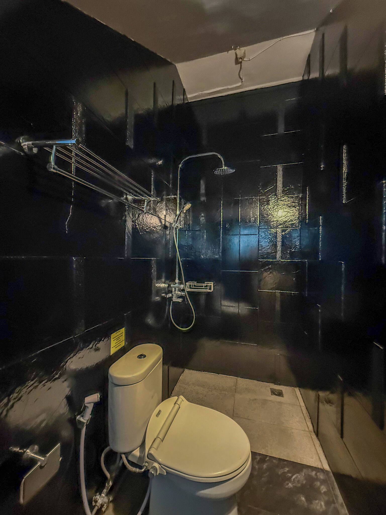 A compact, modern bathroom with a white toilet, a shower with a handheld showerhead, and a glass-enclosed shower area.
