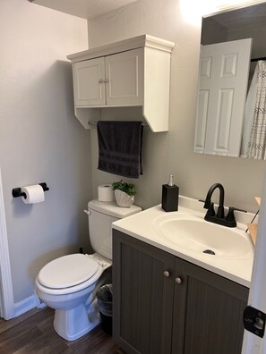 Sèche-cheveux, serviettes fournies, savon, papier toilette