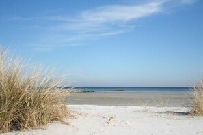 Beach - Villa Strandblick 10 (Zingst)