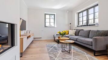 Smart TV, fireplace, DVD player, books