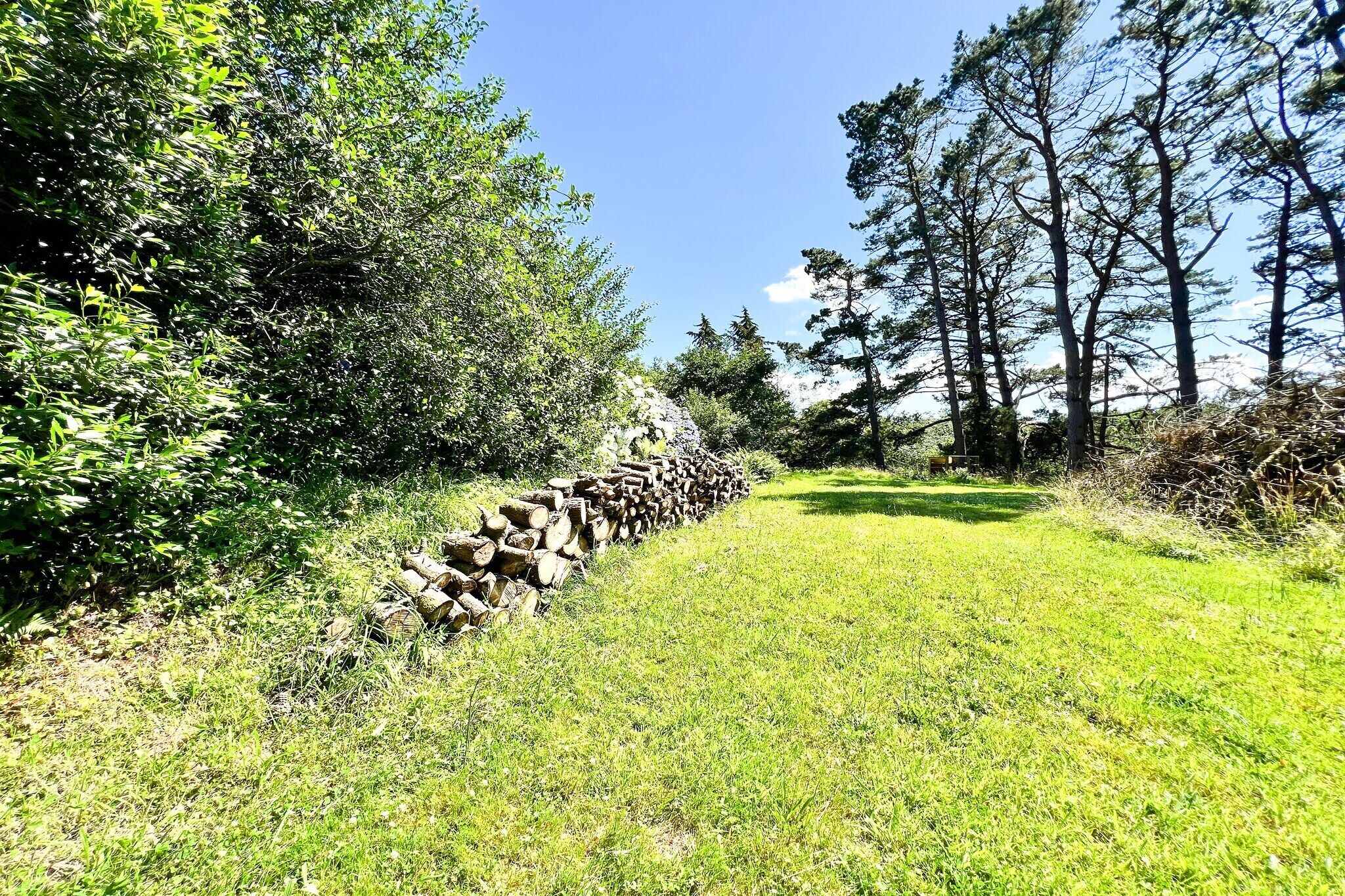 A stone wall with logs, surrounded by grass and trees.