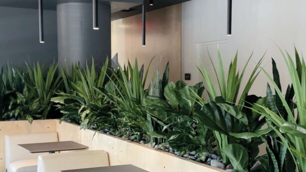 A row of white cushioned seating with tables, a low wooden counter with plants, and pendant lighting. - Solstice Haven - Desert Sky Getaway (Mesa)
