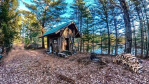 Una cabaña rústica con techo de metal, rodeada de un bosque y un lago.
