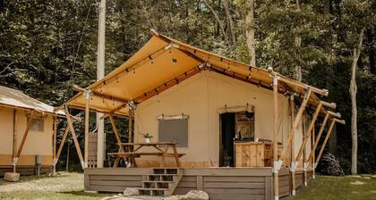 Gorgeous Glamping Tent in Erwin, Tennessee