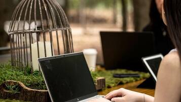 A person using a laptop at a wooden table with a metal birdcage and greenery in the background.