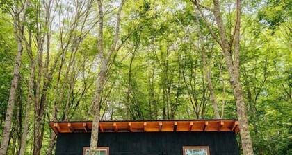 Stunning Tree House Perfect for Couples in Erwin, Tennesse