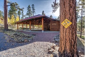 Exterior - Gorgeous Cabin with Fireplace and Barbecue in Greer, Arizona (Greer)