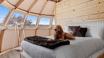 1 chambre, bureau, Wi-Fi