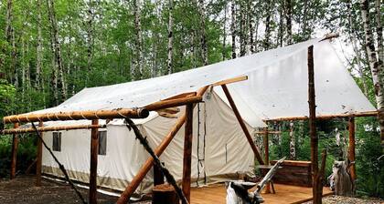 Large and Spacious Safari Tent on a Forks Glamping Resort, Perfect for an Escape to Olympic National Park