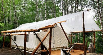 Large and Spacious Safari Tent on a Forks Glamping Resort, Perfect for an Escape to Olympic National Park
