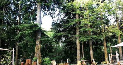 Eco Friendly Safari Tent with a Creek View in Forks, Washington, near the Hoh Rainforest