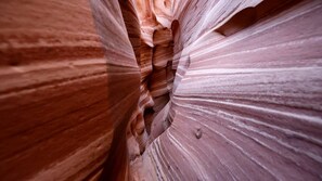 Unclassified image, 5 of 26, button - Modern Tiny House Rental for Unique Desert Getaway in Escalante, Utah (Escalante)