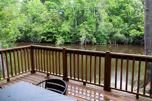 Property grounds - Spacious Cozy Cabin with Back Porch in Livingston, Texas (Livingston)