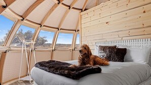 1 habitación, wifi y ropa de cama 
