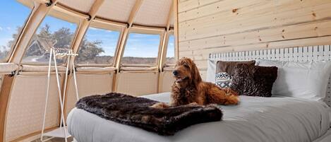 1 habitación, wifi y ropa de cama