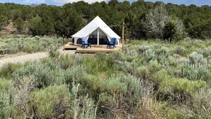 A tent with two chairs in front, surrounded by dry grass and trees.