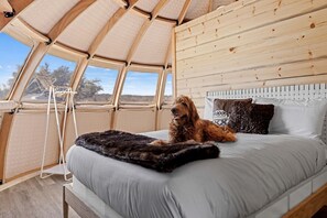 1 Schlafzimmer, Schreibtisch, Bettwäsche