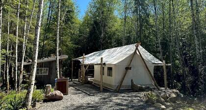 Relaxing Safari Tent for an Incredible Outdoor Glamping Getaway near Forks, Washington