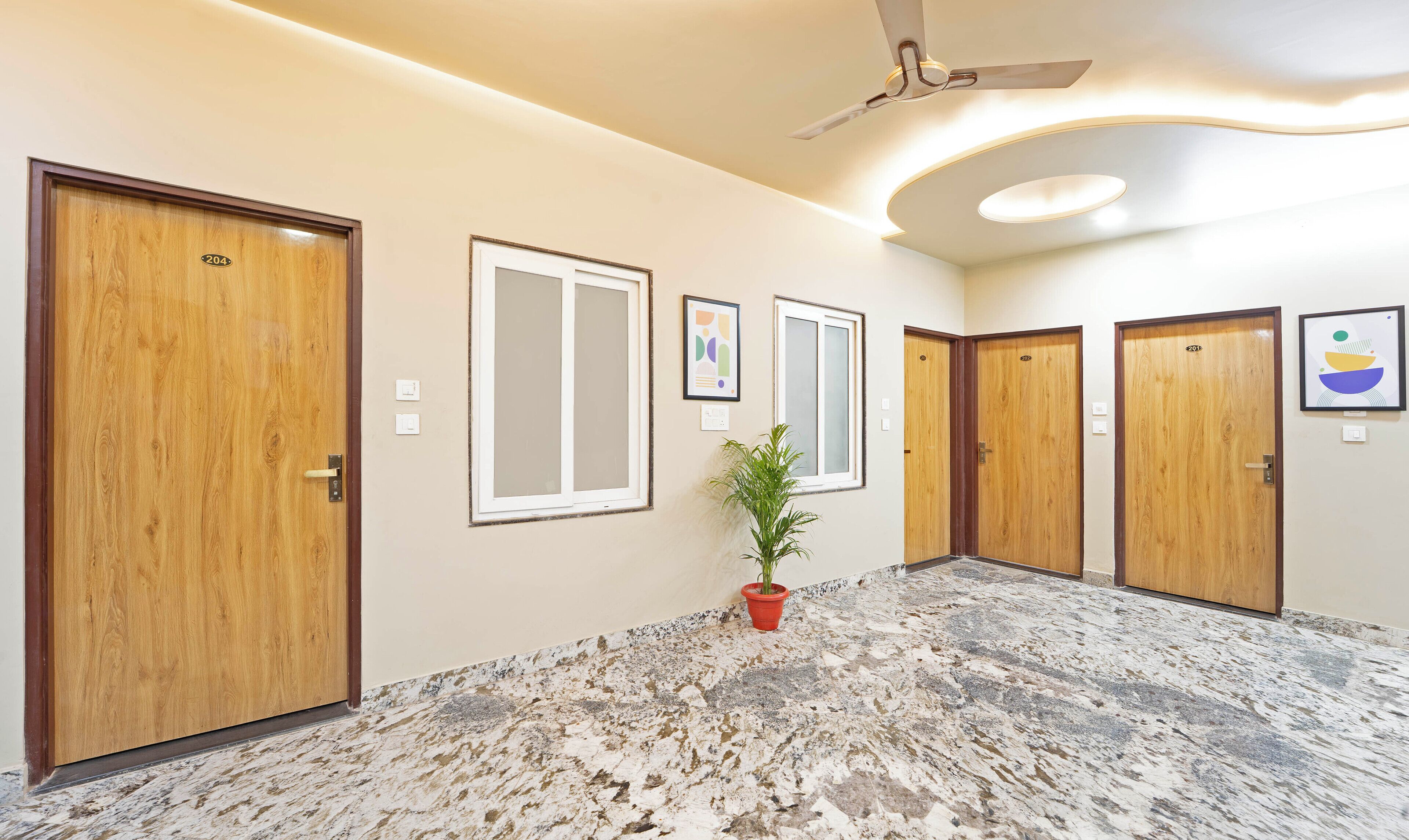 A hallway with wooden doors, numbered 204 and 203, and a potted plant.