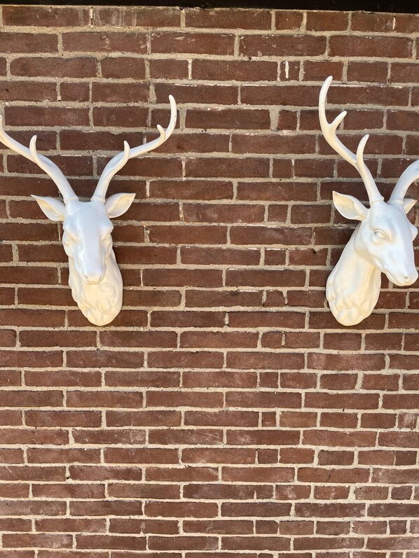 Two mounted deer heads on a brick wall. - Lovely B&B surrounded by nature, culture, and stunning medieval cities (Gorssel)