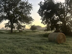 Ländliche Landschaft mit Bäumen und einem Heuballen.