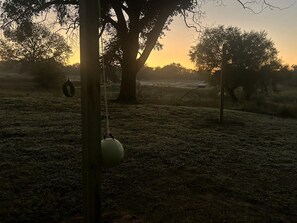 Un albero con un'amaca e una giostra di pneumatici in un prato.
