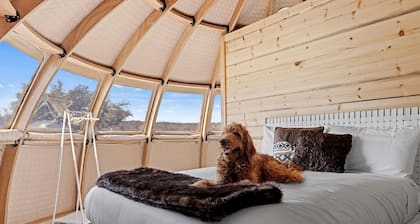 Luminous Pod Lovely for a Glamping Experience in Texas