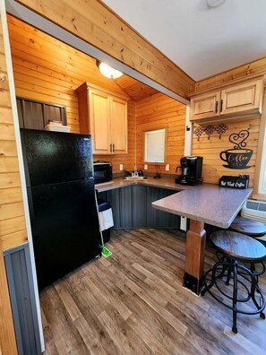 Coffee/tea maker, fridge, microwave, toaster - Tranquil Cottage with Picnic Table and Fire Ring in Trempealeau, Wisconsin (Whitehall)
